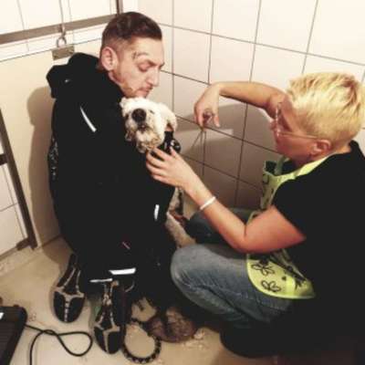 Stephan's Profilbild