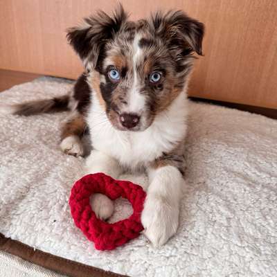 Angela's Profilbild