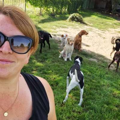 Hundepensionen-Beas Haustierservice-Bild