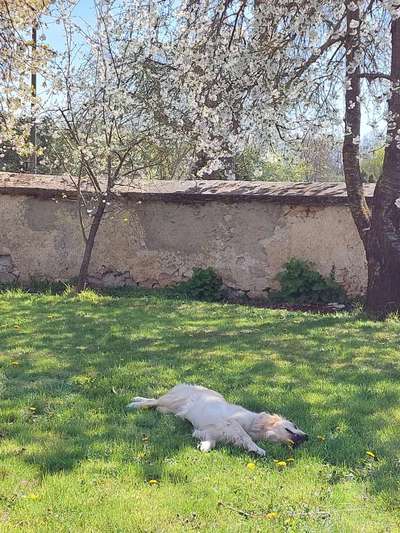 Foto Challange Nr.80-Beitrag-Bild