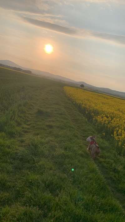 Theos  Fotochallenge Nummer 2-Beitrag-Bild