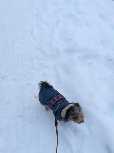 Pullis, Jacken, Hütte und alles sonstiges-Beitrag-Bild