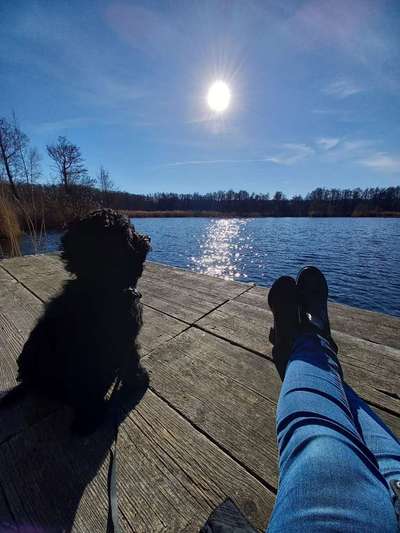 Dogorama Photo Challenge - schönster Gassiausblick-Beitrag-Bild