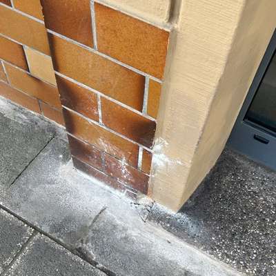 Giftköder-Weißes Pulver entlang Hauswand-Bild