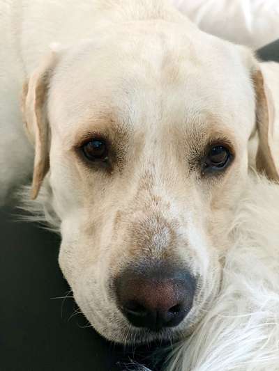 Fotochallange Nr. 57     PORTRÄT.   Beendet!!!!!!!!-Beitrag-Bild