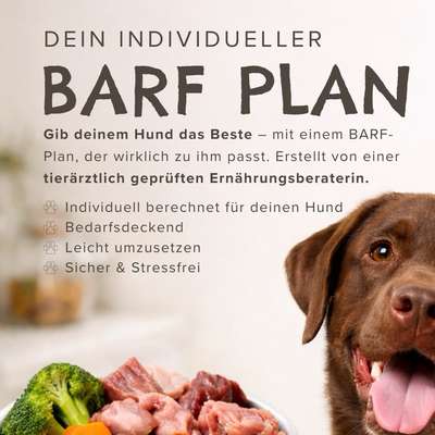 %{de_profession_title}-Tierärztl. Zert. Ernährungsberatung-Bild