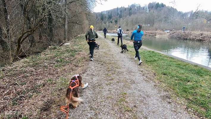 Giftköder-Gruppen- Trainings-Bild