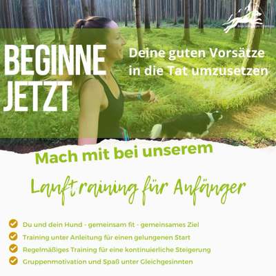 Giftköder-Lauf- und Fitnesstraining für Anfänger-Bild