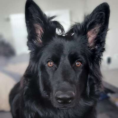 Delia's Profilbild