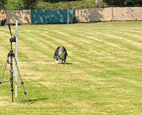 Hundeschulen-Hundeverein Ransbach-Baumbach e.V.-Bild