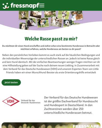 Nadel im Heuhaufen gesucht - mittelgroße Begleithunderasse-Beitrag-Bild