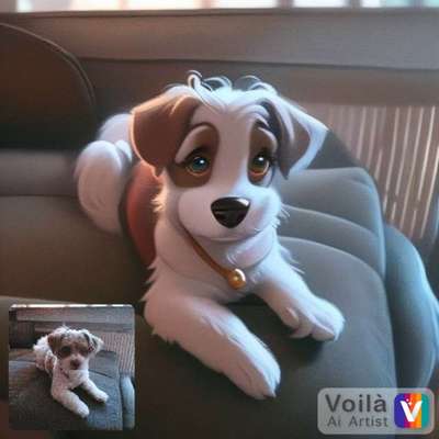 Voila app Bilder-Beitrag-Bild