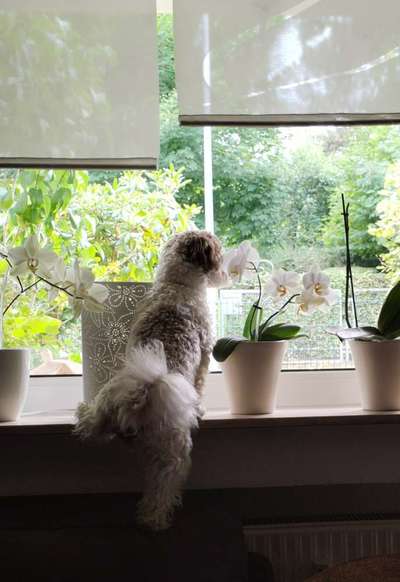 120. Fotochallenge-Beitrag-Bild