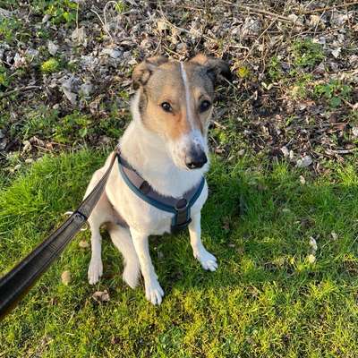 Karin's Profilbild