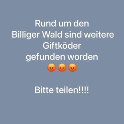 Giftköder-Gift rund um billiger Wald-Bild