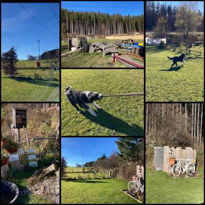 Hundeauslaufgebiet-Naturhundegarten Allgäu-Bild