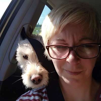 Hundetreffen-Hundebetreuung ein mal im Monat gesucht-Profilbild