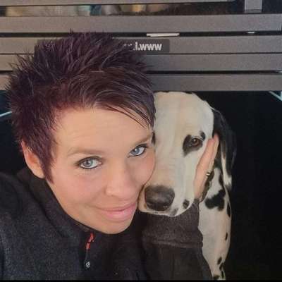 Hundetreffen-Gemeinsame Gassirunden