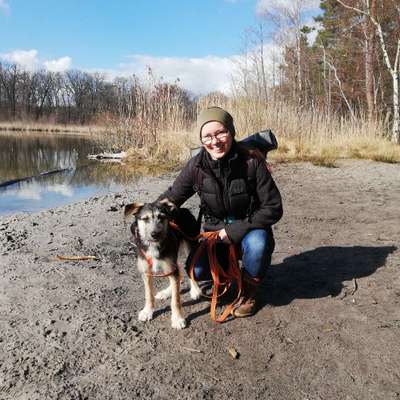 Hundetreffen-Gassi auf dem THB Gelände-Bild