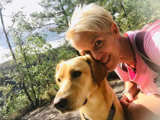 Podencomischling oder Podenco-Beitrag-Bild