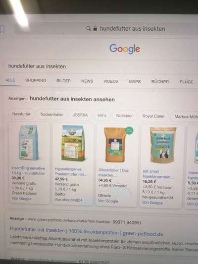 Futter Unverträglichkeit-Beitrag-Bild