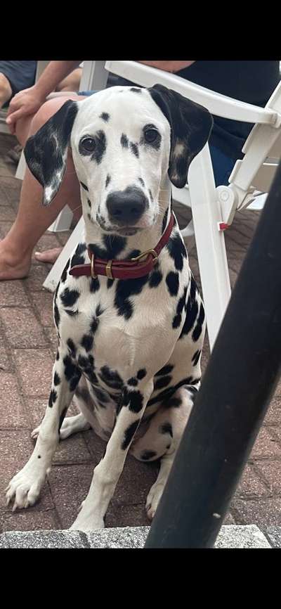 Fotochallange Nr. 57     PORTRÄT.   Beendet!!!!!!!!-Beitrag-Bild