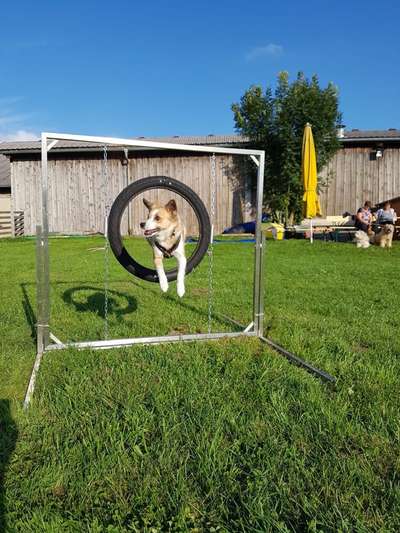 Fotochallenge Nr. 52 „Spring!“-Beitrag-Bild