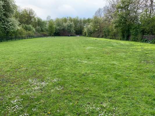 Hundeauslaufgebiet-Röteringshof-Bild