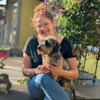 Hundetreffen-Gassirunde mit anderen kleinen Hunden-Bild