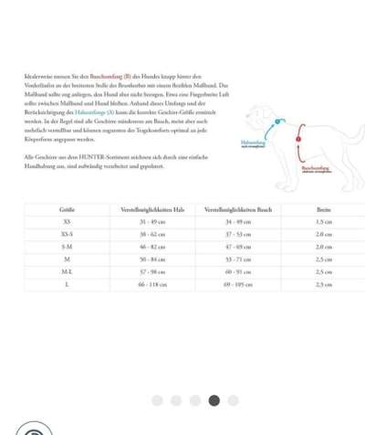 Hundegeschirr Hunter Maldon-Beitrag-Bild