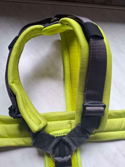 Hundegeschirr Hunter Maldon-Beitrag-Bild