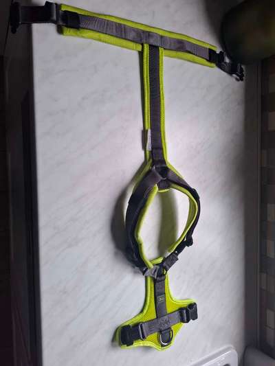 Hundegeschirr Hunter Maldon-Beitrag-Bild