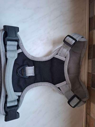 Hundezubehör gut erhalten-Beitrag-Bild