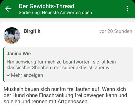 Der Gewichts-Thread-Beitrag-Bild
