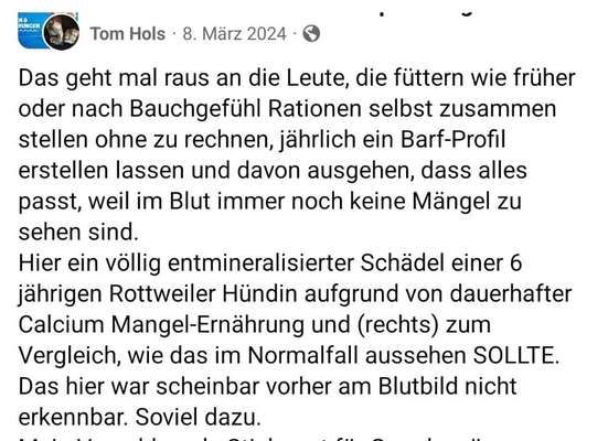 Hochwertiges / Bedarfsgerechtes Nassfutter (ohne Barfen), welches nur?-Beitrag-Bild