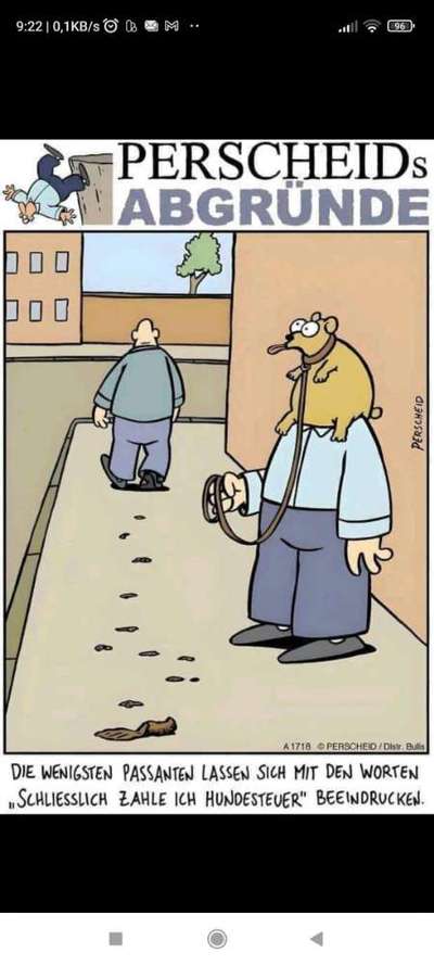 Hunde Memes-Beitrag-Bild