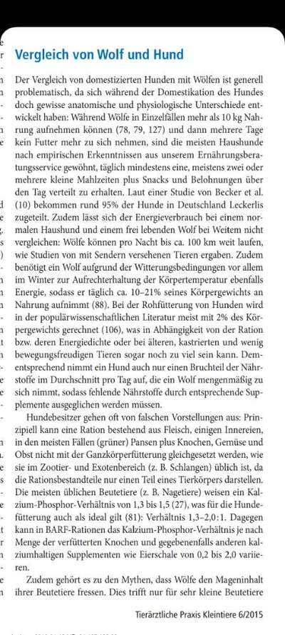 Studien zum Thema Unterschied Hund vs. Wolf-Beitrag-Bild