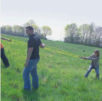 Windhunde - Treffen der besonderen Schönheiten
HERZLICH WILLKOMMEN-Beitrag-Bild