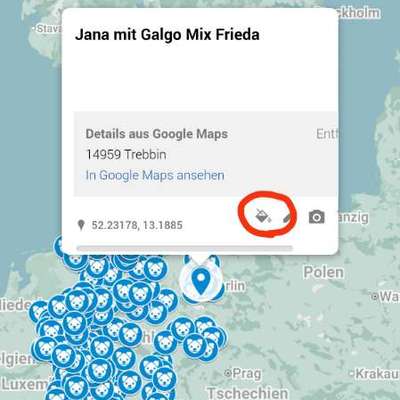 Windhundtreffen - PLZ-Beitrag-Bild