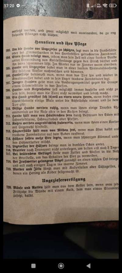 Fake News in der Hundewelt-Beitrag-Bild