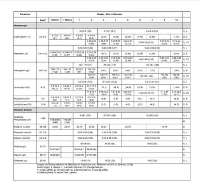 Zu viel Phosphor-Beitrag-Bild