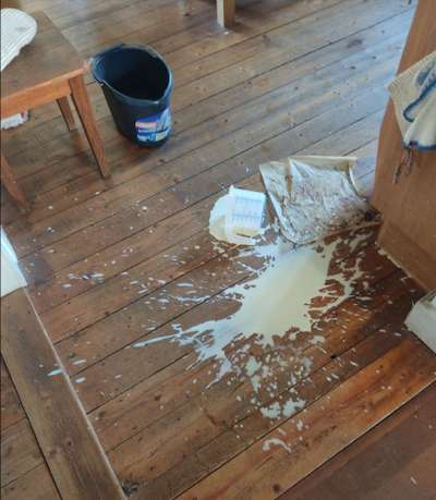 Zeigt her Eure Futternäpfe-Beitrag-Bild