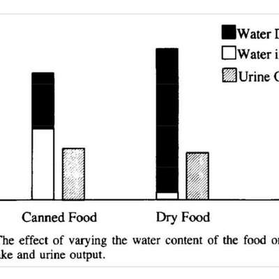 Fettreduziertes Nassfutter (Gastro) für Seniorhündin-Beitrag-Bild