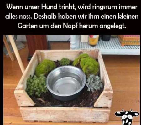 Zeigt her Eure Futternäpfe-Beitrag-Bild