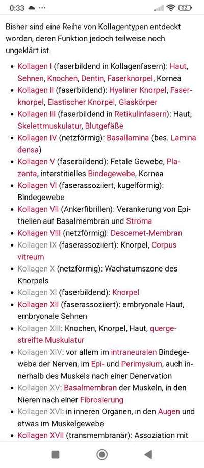 Hochwertiges / Bedarfsgerechtes Nassfutter (ohne Barfen), welches nur?-Beitrag-Bild