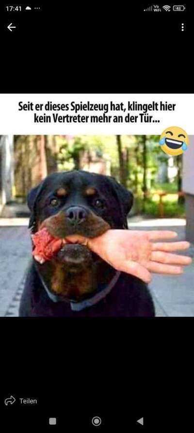 Hunde Memes-Beitrag-Bild