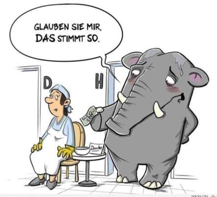 Hunde Memes-Beitrag-Bild