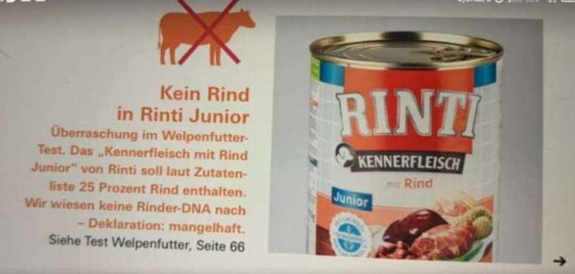 Futterumstellung wegen Allergie-Beitrag-Bild