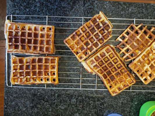 Softe Trainingsleckerlis-Beitrag-Bild