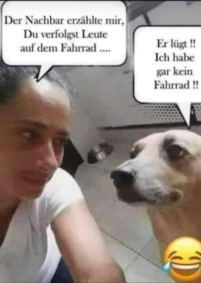 Hier ist der Spaßthread. Zum Schmunzeln und Kaputtlachen-Beitrag-Bild